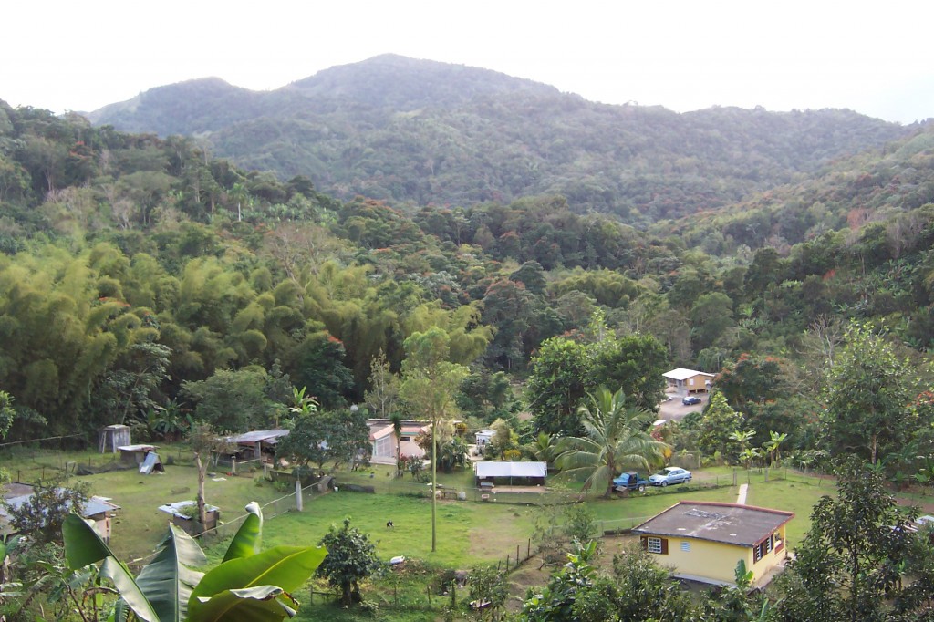 Lares Puerto Rico Property Update | Lifetransplanet